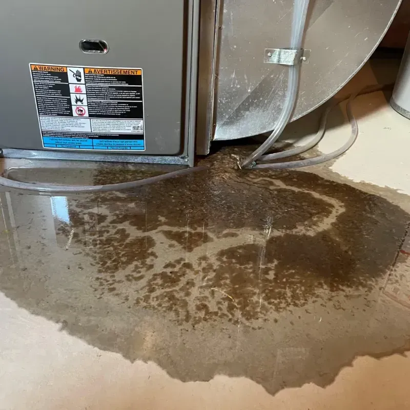 Appliance Leak Cleanup in Millbury, OH